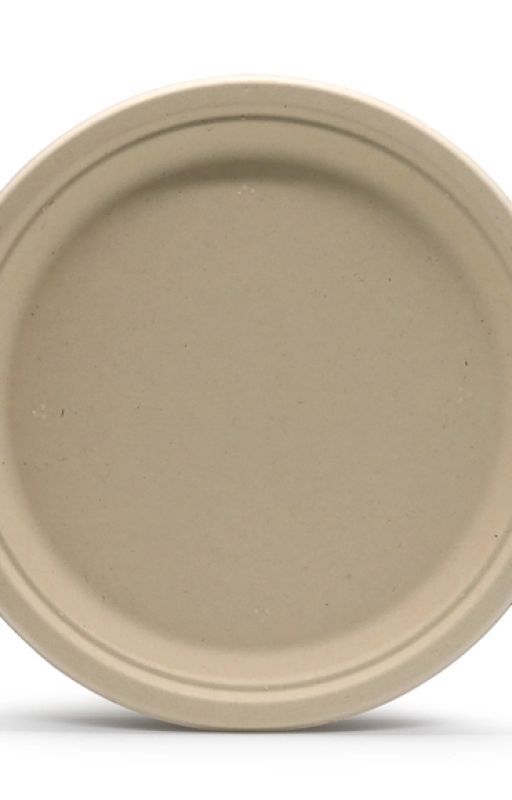 10 inch Bagasse Disposable Plate by luzhou-pack20