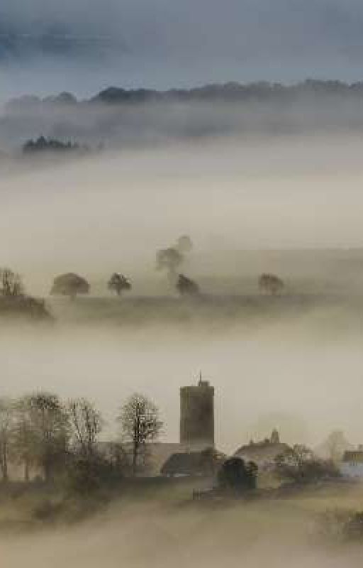 The misty fog by Be4utifulminds