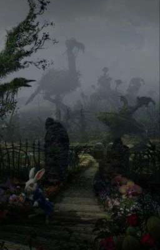 Lost in Wonderland {Portgas D. Ace x Reader} by xosweeetzzs
