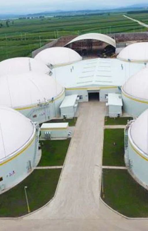 Harbin, Heilongjiang | Derun Biomass Cogeneration Project by yhrbiogas