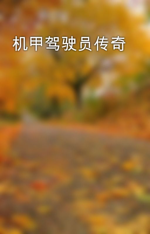 机甲驾驶员传奇 by yourfirstvs01