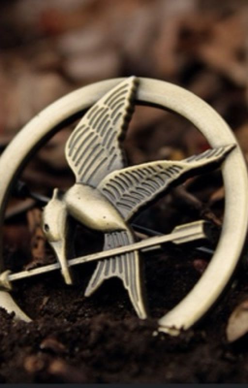 The Hunger Games: The Song of The Mockingjay by iisummerdayz