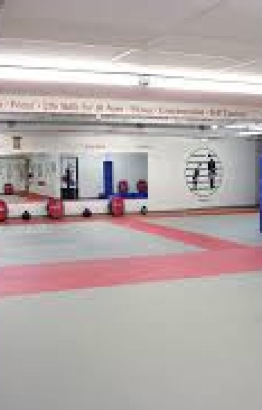 Ellie and Toby's Karate Lesson 7 by jstewart0218