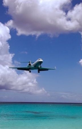 Die to fly by HaleyD2002