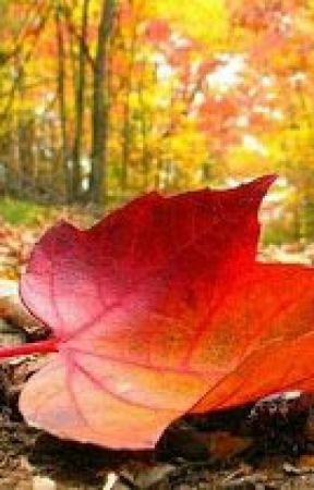 Poeme d'une vie de merde by Chismap