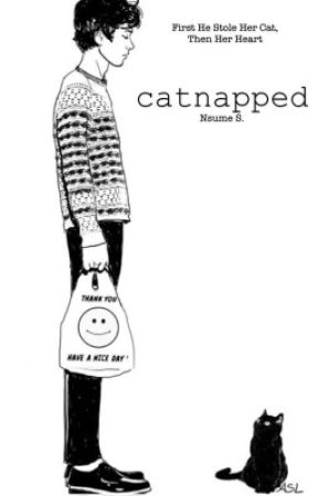 Catnapped by umhellooooo