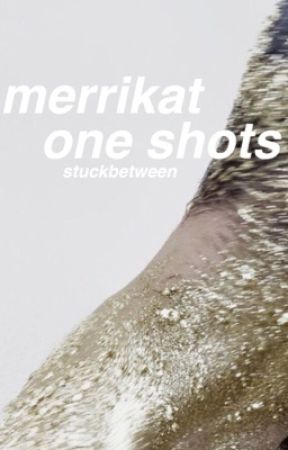 merrikat one shots by stuckbetween