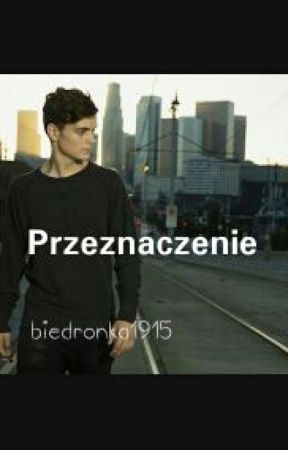 Przeznaczenie (Martin Garrix) by biedronka1915