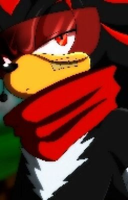 Shadow the hedgehog x reader - TangerbreeSunrise - Wattpad