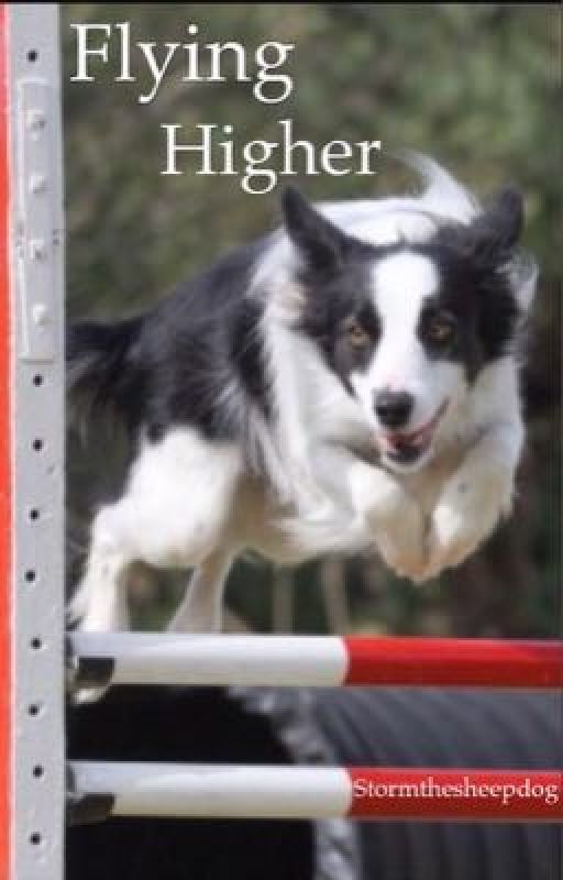 Flying Higher od stormthesheepdog