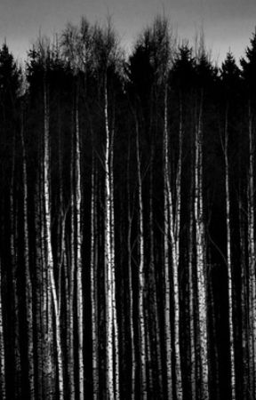The Creature from the Woods by JackieShoe3