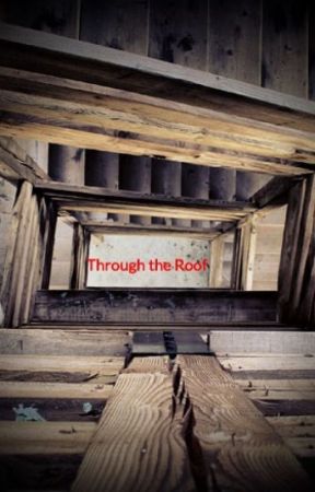 Through the Roof de Speedstar101