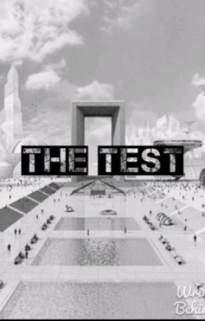 The Test, de aniclar928