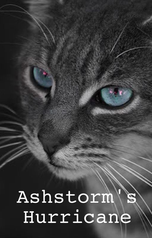 Warrior Cats: Ashstorm's Hurricane by this-sky-blue-day