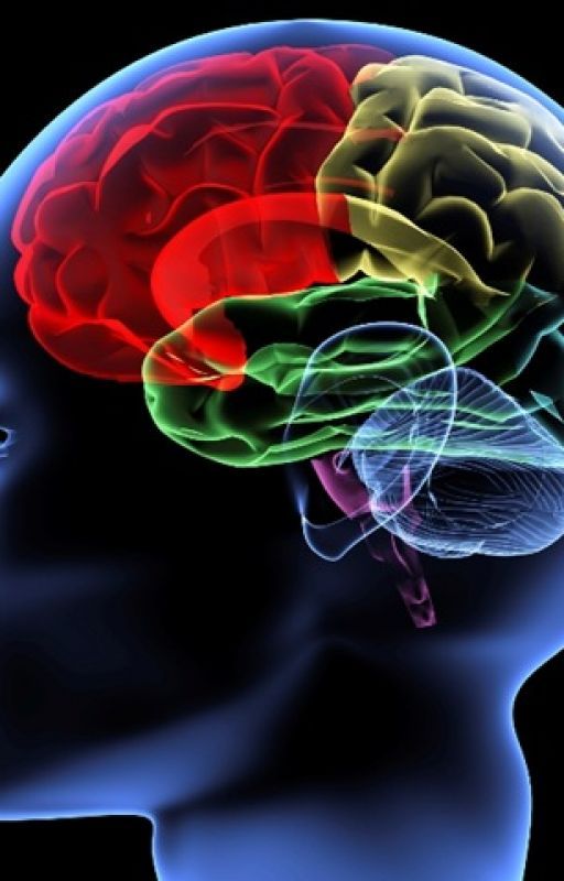 Omega 3: The Natural Brain Enhancer! by rsonrson
