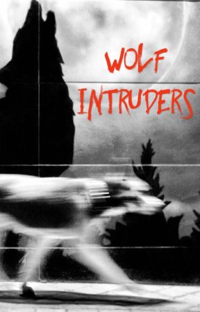 Wolf Intruders by CassedyKrumsee