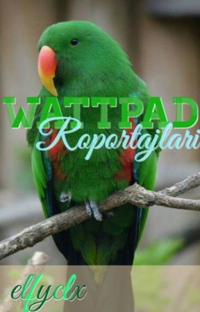 Wattpad Röportajları bởi dnskmsmsksks