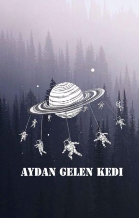Aydan Gelen Kedi by quiseko