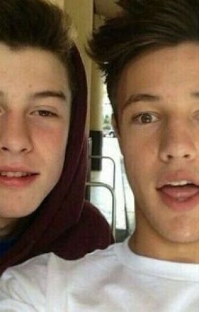 Life of the party (Shawn Mendes, Cameron Dallas FF) oleh _grasgruen_