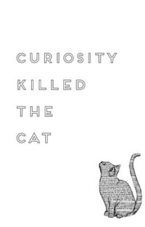 Curiosity Killed The Cat by Ms0reo