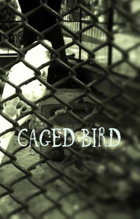 Caged Bird, de Grayvles