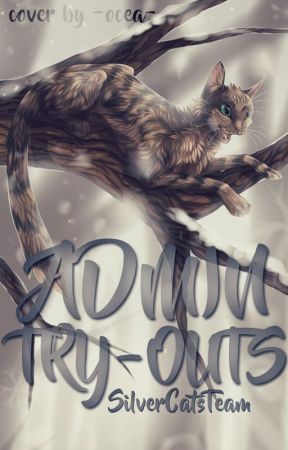 Admin Try-Outs par SilverCatsTeam