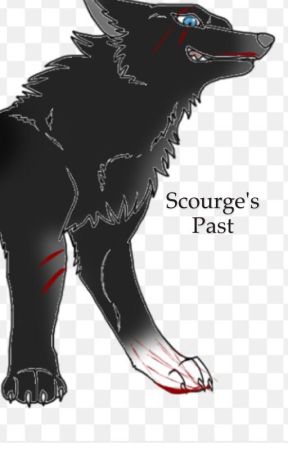 Scourge's past par 897StarQuack