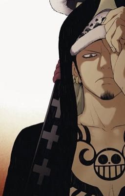 Trafalgar D. Water Law x Reader One Shots - Genderbender: Female Law x Male  Reader