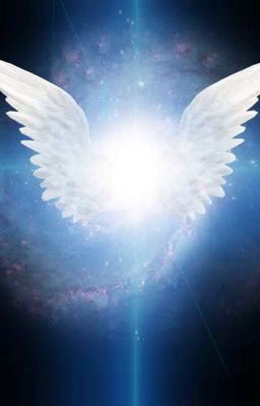 Winchesters X angel!Reader by HonkHonk24