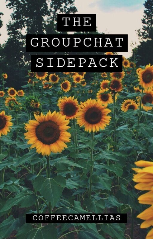 The Groupchat • Sidepack by CoffeeCamellias