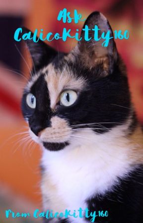 CalicoKitty210 tarafından yazılan Ask CalicoKitty160 adlı hikaye