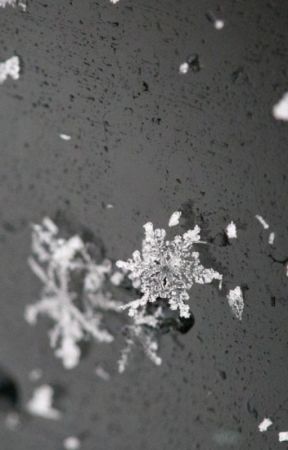 The snowflake by MasonDodds