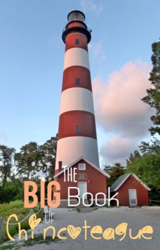 The Big Book of Chincoteague by EmmaTheEnderGirl