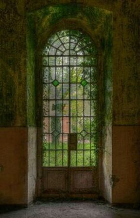 Abandoned Asylums research de Shady_Echo