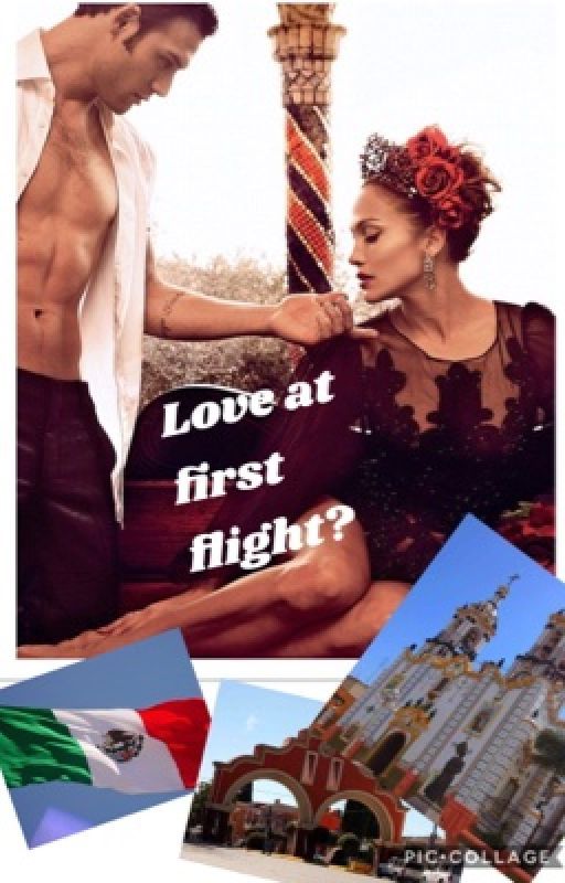 Love at first flight? by rubyyyalla