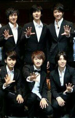 Nuevo Amigo...(Super Junior &Tu) by nancy-ryeosomnia