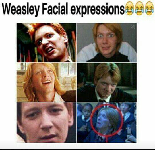 Clean Harry Potter Memes - -Unofficial Weasley