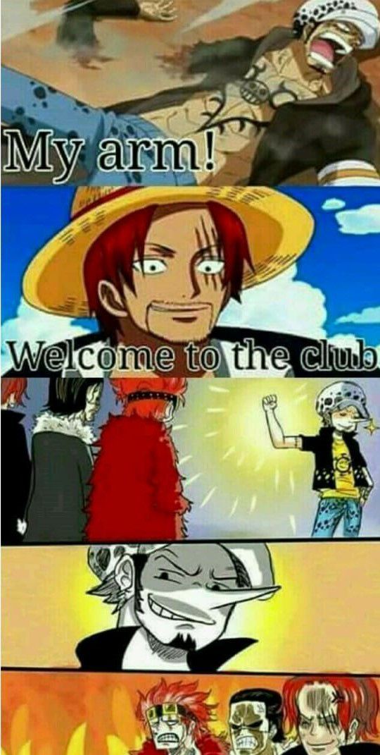 Expect the unexpected : MemePiece  One piece meme, One piece crew, One  piece funny