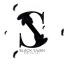 BlackSwanEditorial