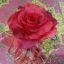 Iwan_syzwn