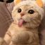 Nananana_14