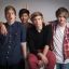 NiallsIrishRose