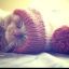 Photo-sourire