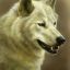 Silverpelt67