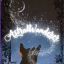 astral_wanderer20_09