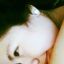 janenow