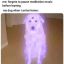 xx_scp_20012610_xx