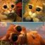 zeynep_souh